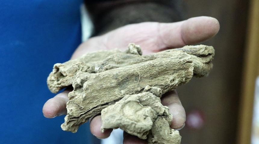 Koronavir&uuml;se karşı kilosu 300 liradan satılan udi hindi rağbet g&ouml;r&uuml;yor