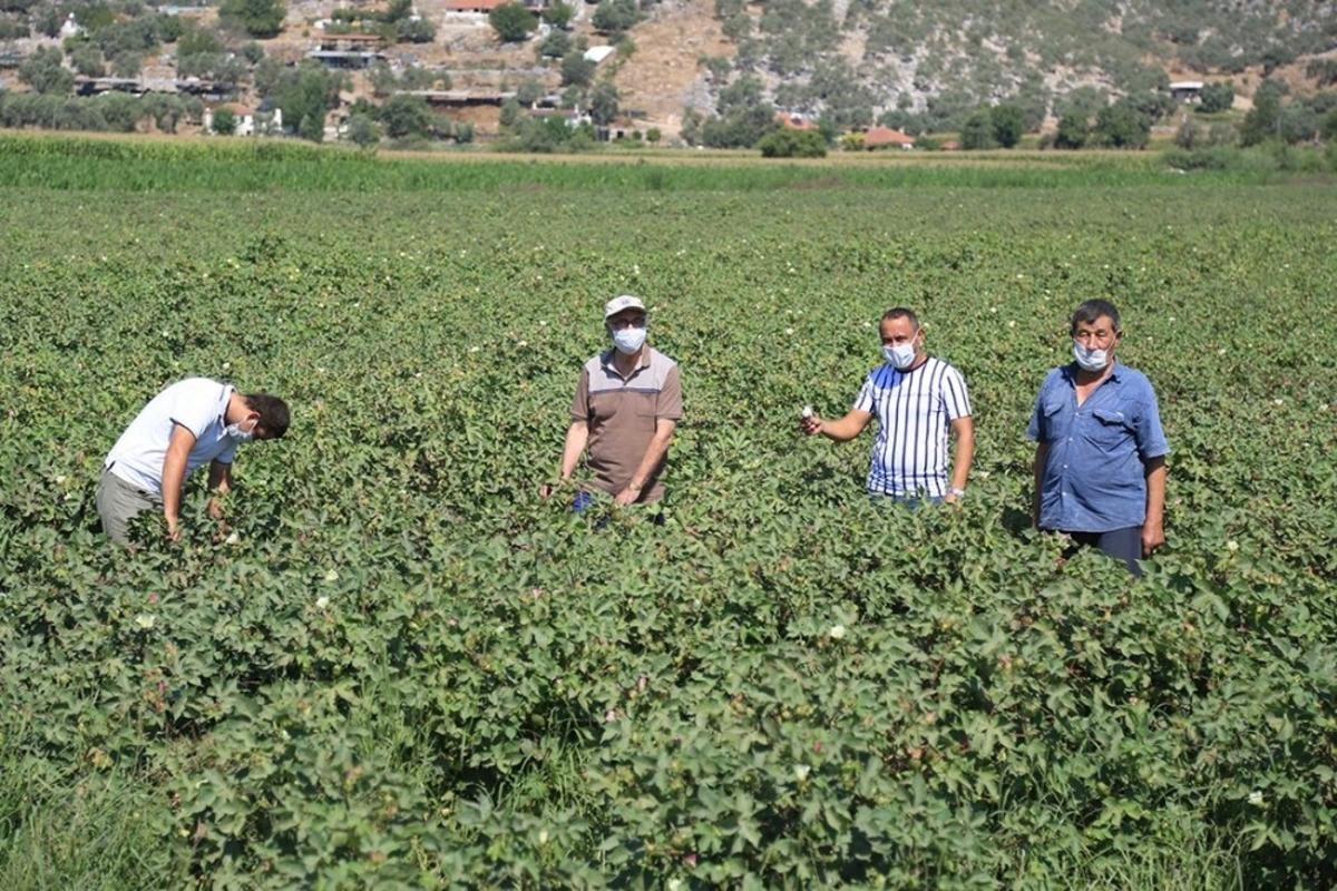 &Ccedil;ift&ccedil;i beyaz altından umutlu