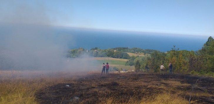 Türkeli’de tarla yangını kontrol altına alındı G1