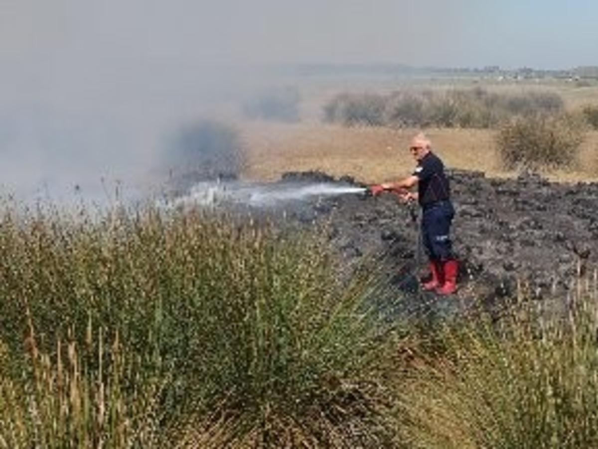 19 Mayıs&rsquo;ta sazlık alanda yangın
