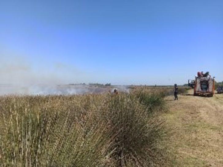 19 Mayıs’ta sazlık alanda yangın G2