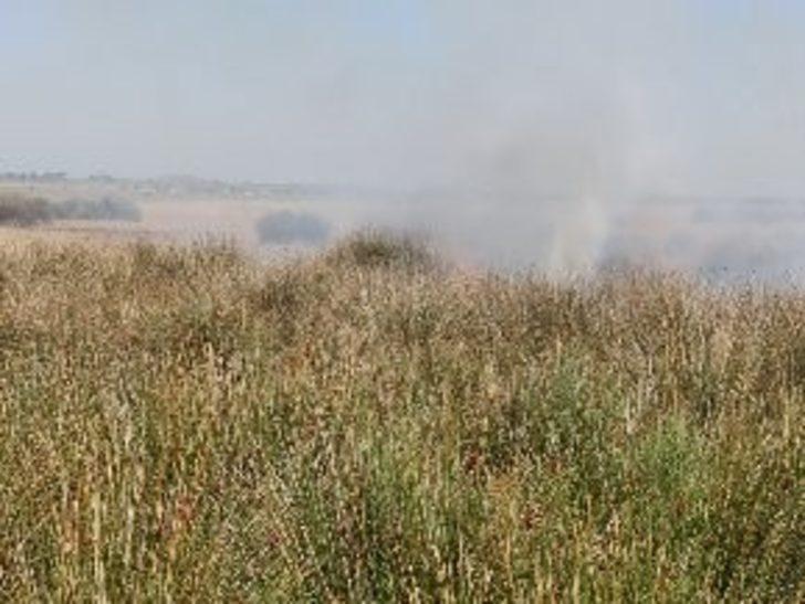 19 Mayıs’ta sazlık alanda yangın G3