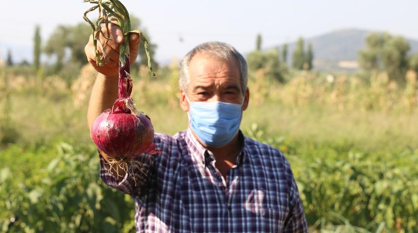 Ürettiği 736 gramlık soğan görenleri hayrete düşürüyor