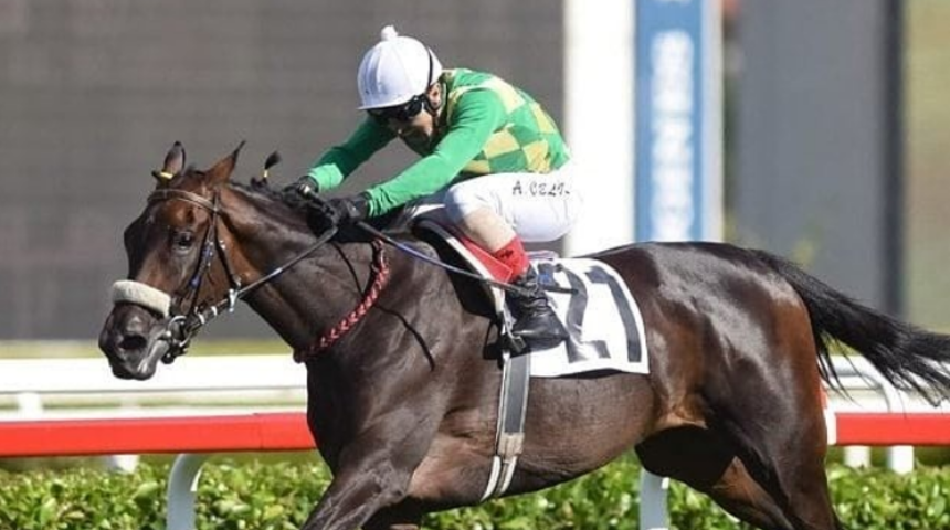 94. Gazi Koşusu kazananı jokey Ahmet Çelik kimdir? Ahmet Çelik nereli ve kaç yaşında? İşte son kazanan jokey Ahmet Çelik’in hayatı!