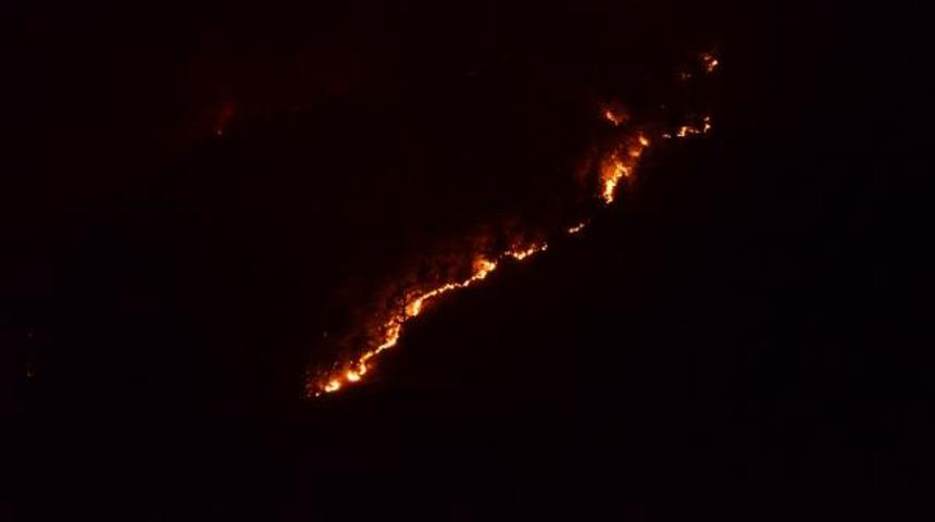 Adana'da korkutan orman yangını! Havadan b&ouml;yle g&ouml;r&uuml;nt&uuml;lendi