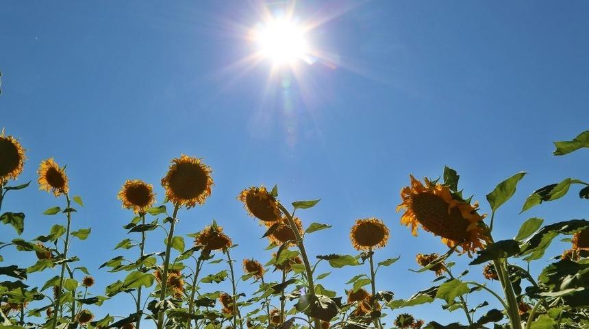 Sıcak hava uyarısı s&uuml;r&uuml;yor