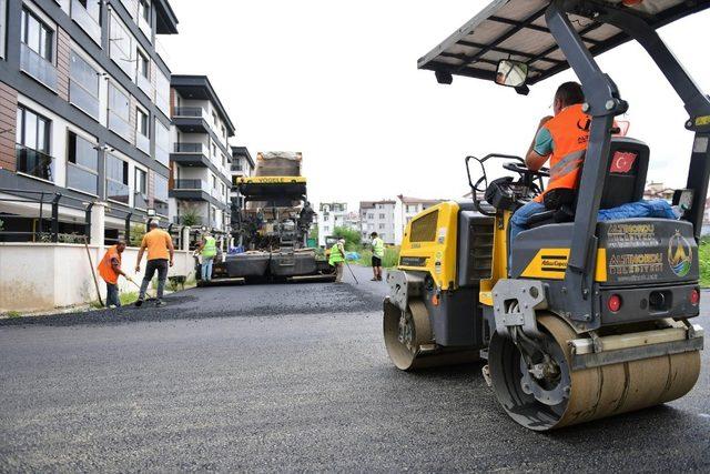 Altınordu’da toplu konut alanları asfaltlanıyor