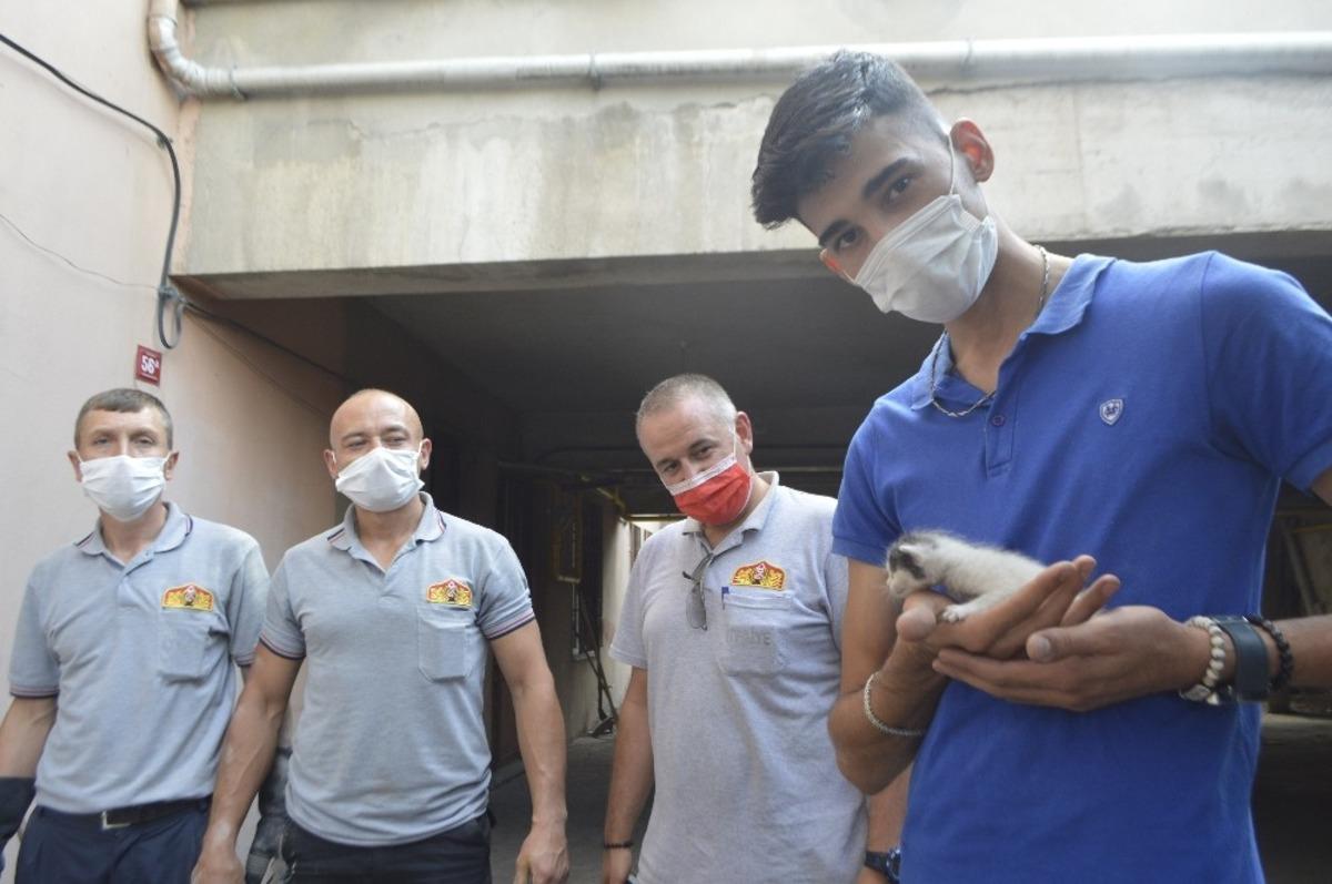 Kedi yavrusu duvar delinerek kurtarıldı