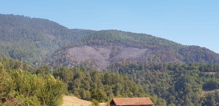 Orman yangınında soğutma çalışmaları devam ediyor G3