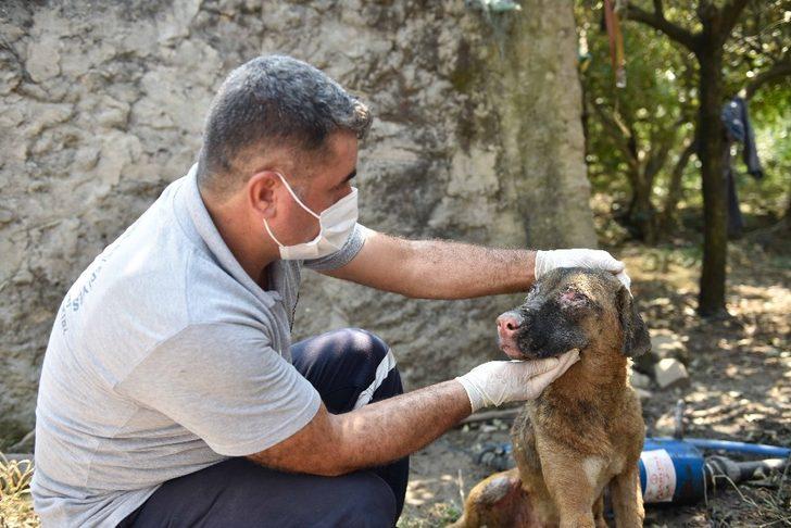 Büyükşehirden yangın mağdurlarına destek G3