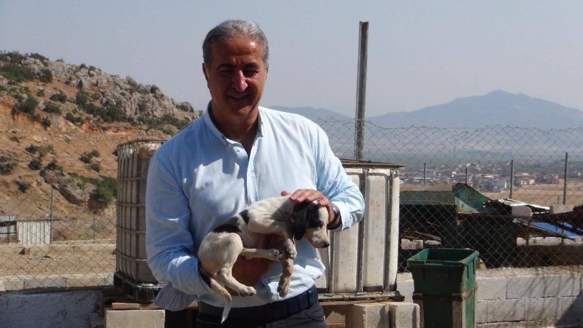 Gen&ccedil; Y&uuml;ksel&rsquo;den Hayvan barınağı&rsquo;na ziyaret