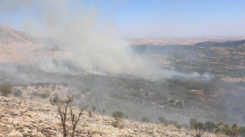 Orman yangını kontrol altına alındı