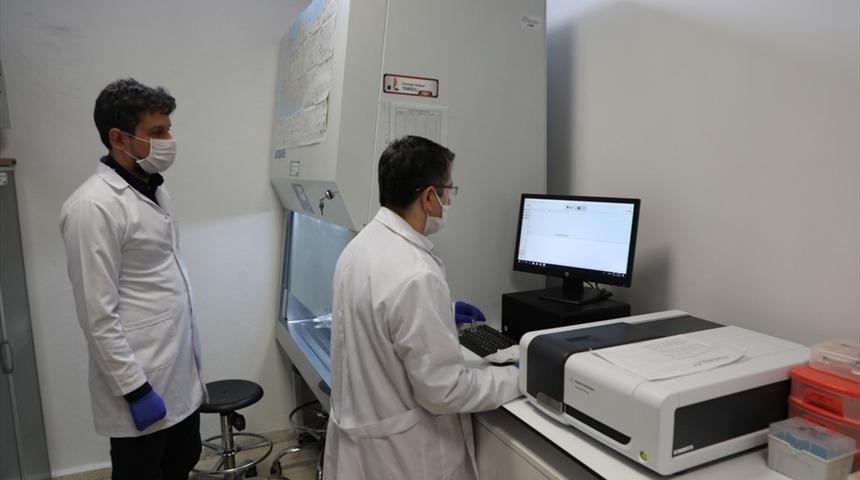 Bartın Üniversitesi'nde üretilen yerli enzim, pandemi ile mücadelede katkı sağlayacak