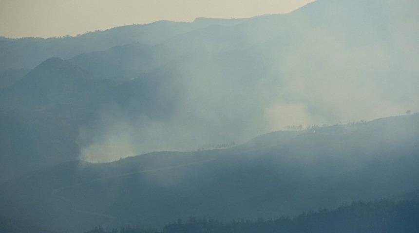 Suriye sınırının sıfır noktasında orman yangını! Türkiye'ye sıçradı