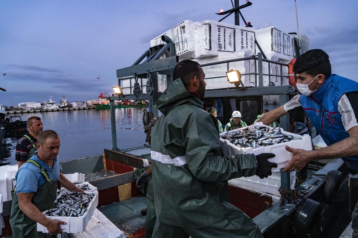 Av yasağı kalktı balık&ccedil;ılar ağlarını attı: Yeni sezondan umutlular