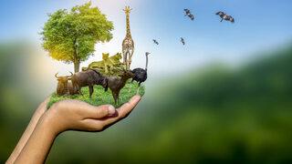 21 Eylül Dünya Barış Günü'nün hikayesi! 21 Eylül Dünya Barış Günü mesajları, şiirleri!