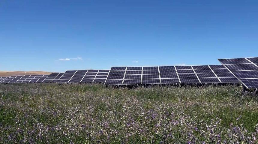 Güneş panellerinden elde edilen enerjiyle 20 mahalleye elektrik dağıtılıyor