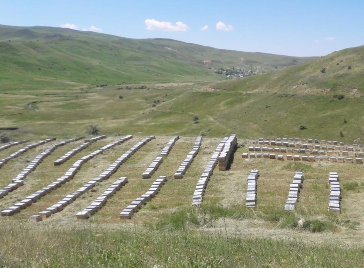 TKDK&rsquo;dan kadın arıcılara 17 bin kovan desteği