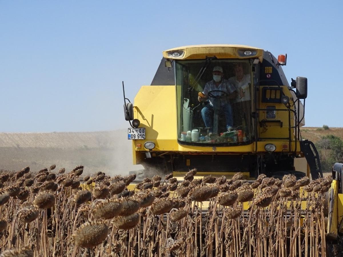Ay&ccedil;i&ccedil;eğinde dane kaybı kontrol&uuml;