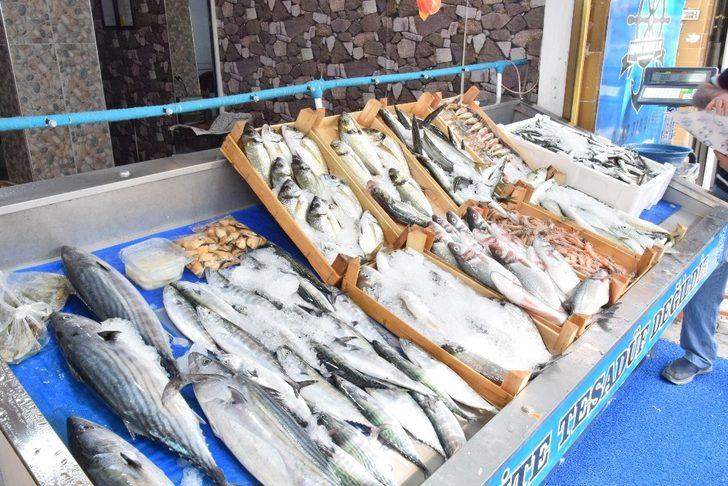 Sardalyanın kilosu 20 liraya düştü G2