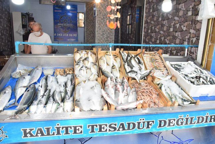 Sardalyanın kilosu 20 liraya düştü G4