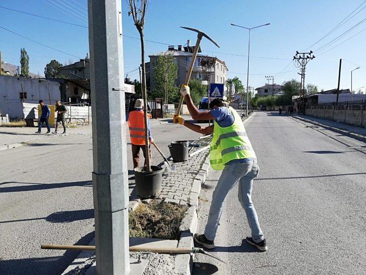 İpekyolu Belediyesinden ağaç dikimi G2