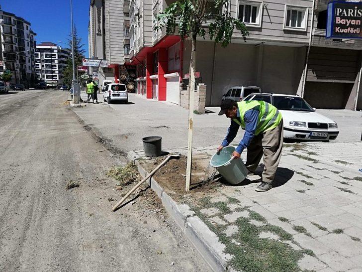İpekyolu Belediyesinden ağaç dikimi G3