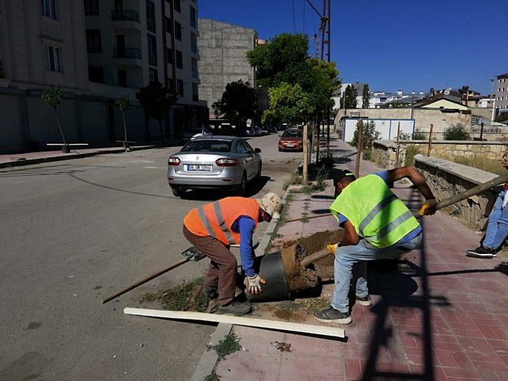 İpekyolu Belediyesinden ağaç dikimi G5