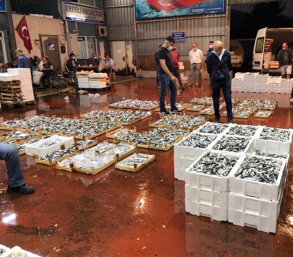 Kocaeli balık halleri bereketli av ile a&ccedil;ıldı