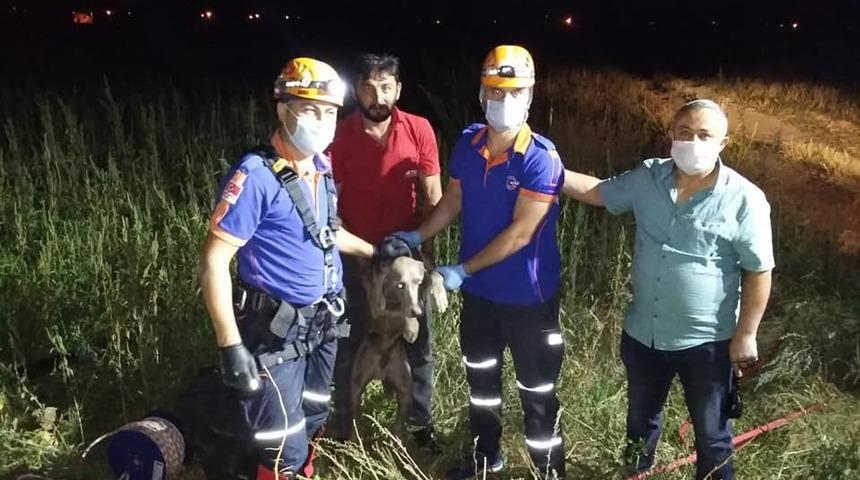 Niğde&rsquo;de 3 g&uuml;nd&uuml;r su kuyusunda mahsur kalan k&ouml;peği AFAD kurtardı