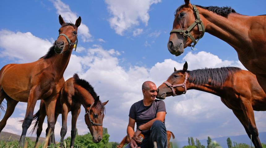 Türkiye'nin şampiyon atları bakın nasıl besleniyorlar