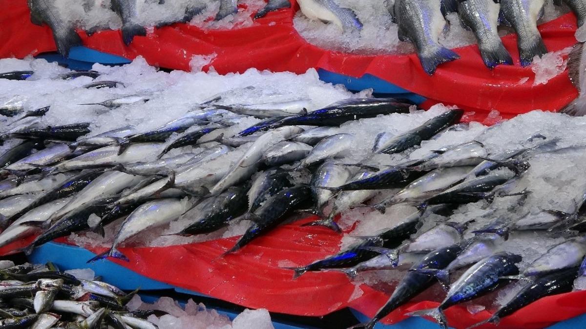 Ordu&rsquo;da balık&ccedil;ı tezgahları şenlendi