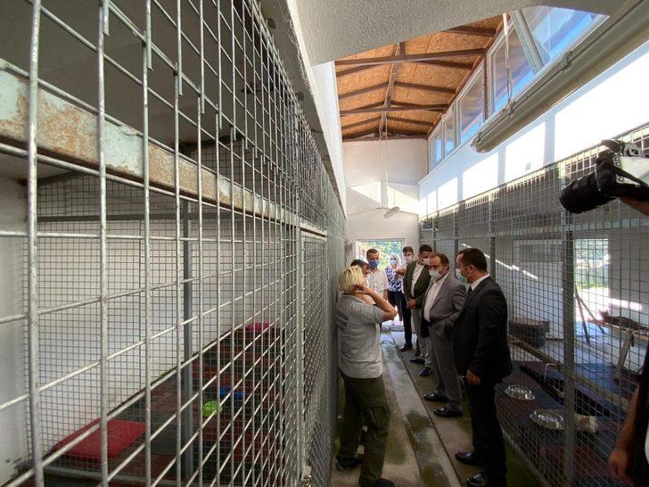 Vali Şentürk ve Başkan Şahin’den can dostlarına ziyaret G3