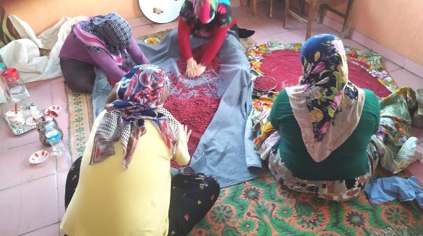 İmece usul&uuml; Kızılcık tarhanası yapımı