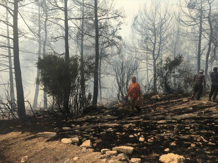 GÜNCELLEME - Hatay'da ormanlık alanda yangın çıktı G1