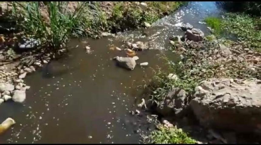 Korkutan görüntü! Eynerce deresi renk değiştirip köpürdü