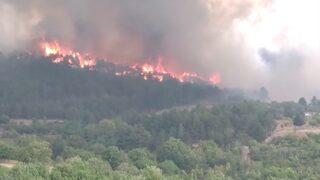 Ankara'nın Nallıhan ilçesinde orman yangını çıktı