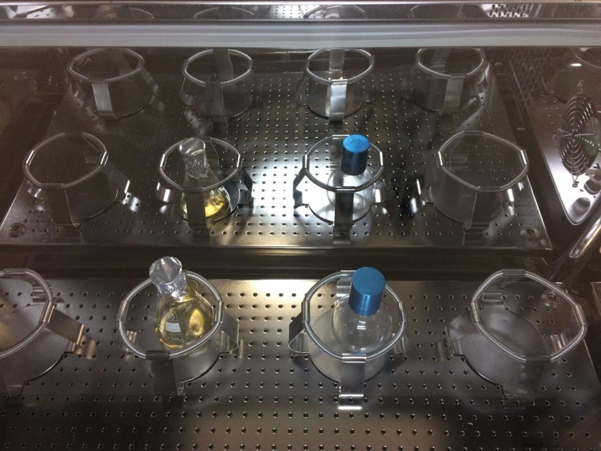 Koronavir&uuml;s salgınıyla m&uuml;cadelede kritik &ouml;neme sahip &ldquo;3CLpro&rdquo; enzimi &uuml;retildi