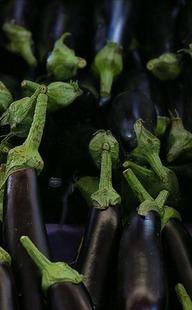 Ağustos ayının zam şampiyonu belli oldu