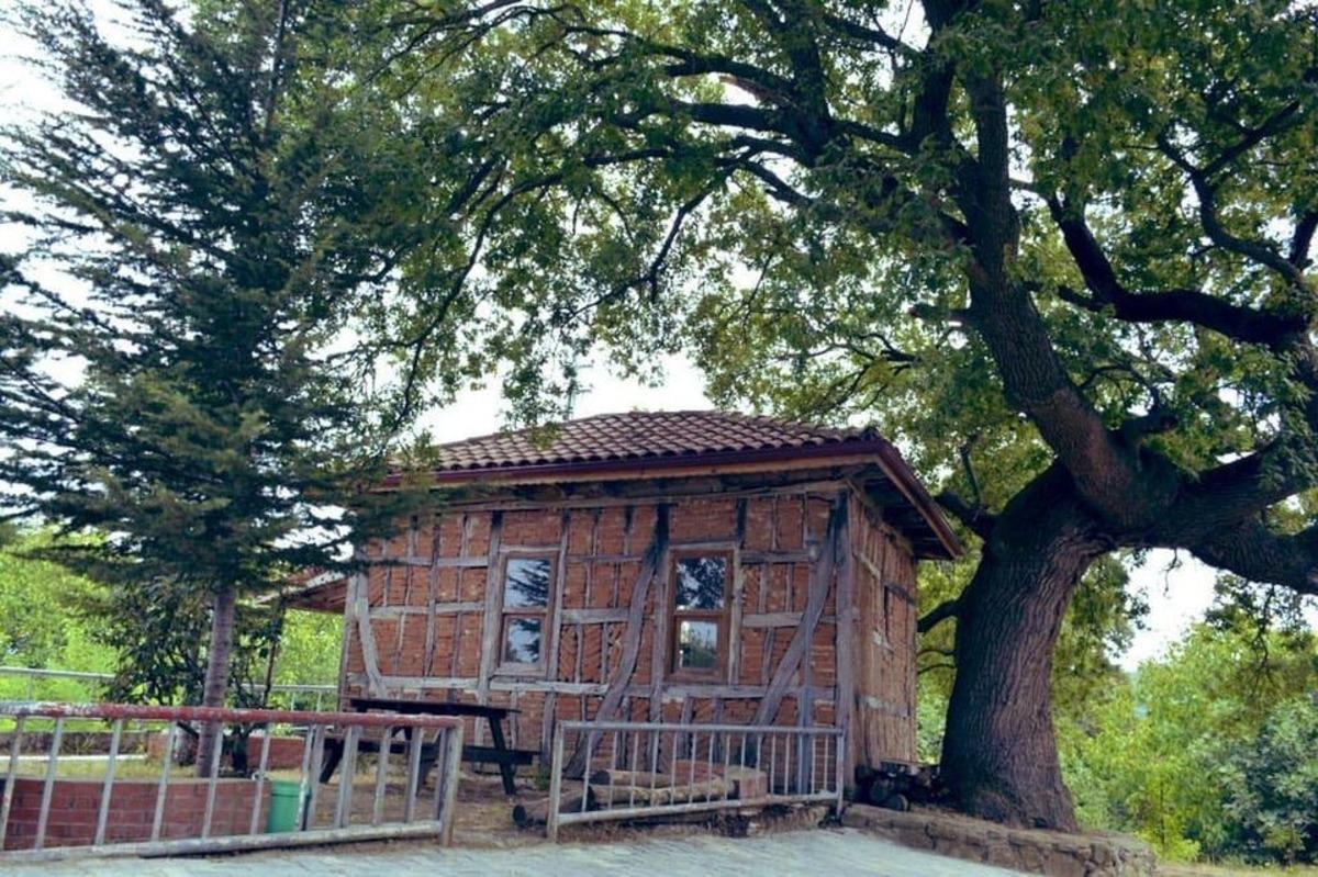 T&uuml;rkiye&rsquo;nin en k&uuml;&ccedil;&uuml;k mescidi restore edilecek