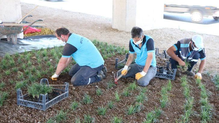 Başkiskele sanayi köprülü kavşağı renklendirildi G1