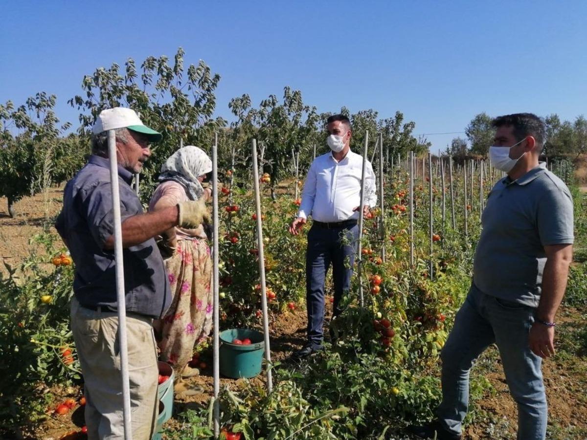 Bilecik İl Tarım ve Orman M&uuml;d&uuml;r&uuml; Yoldaş, &uuml;retime devam eden &ccedil;ift&ccedil;ileri ziyaret etti