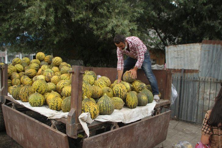 Balotu Kavunu Tezgâhlardaki Yerini Aldı G2