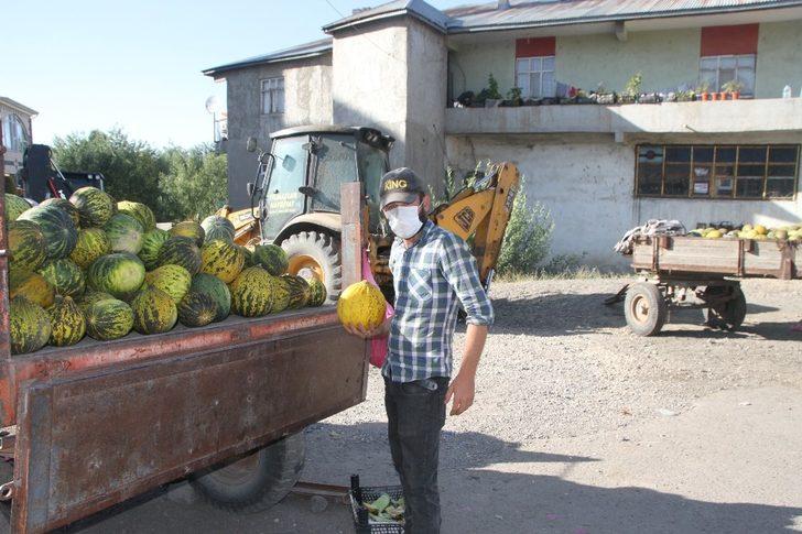 Balotu Kavunu Tezgâhlardaki Yerini Aldı G3