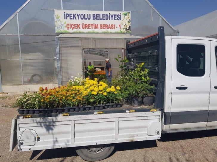 İpekyolu Belediyesi okul bahçelerini çiçeklerle süsleyecek G2
