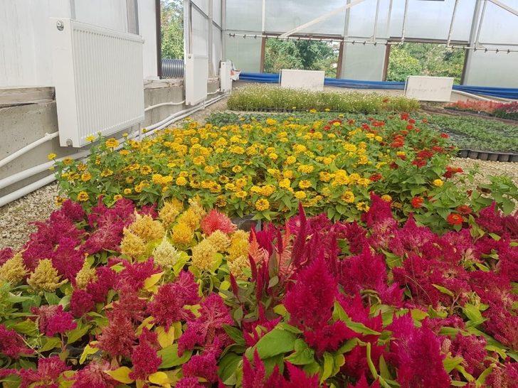 İpekyolu Belediyesi okul bahçelerini çiçeklerle süsleyecek G4