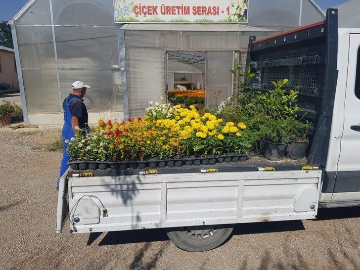 İpekyolu Belediyesi okul bahçelerini çiçeklerle süsleyecek G5