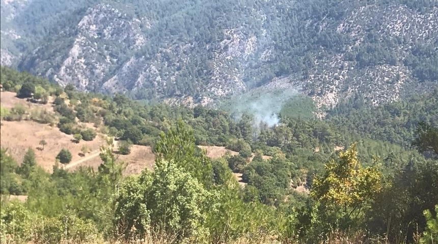 Dursunbey’de orman yangını