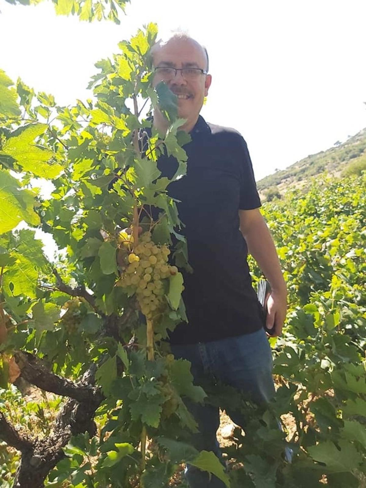 &Uuml;z&uuml;mde 25 bin ton rekolte bekleniyor