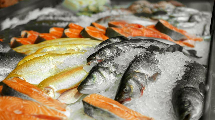 MasterChef jürisi Mehmet Şef'ten taze balık seçmenin püf noktaları